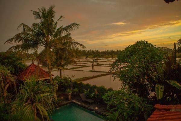 White House Hotel Ubud  Exterior photo